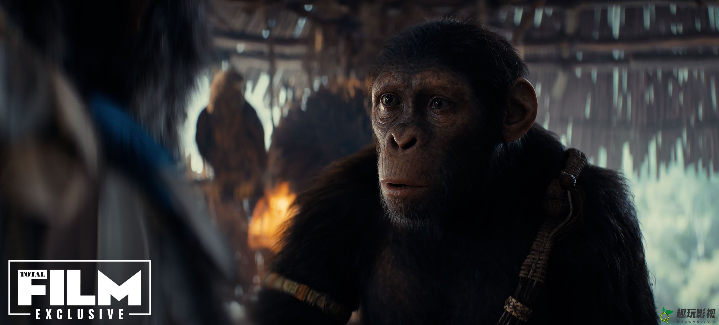 《猩球崛起4：新世界》新剧照 年轻猿猴自我寻找之路